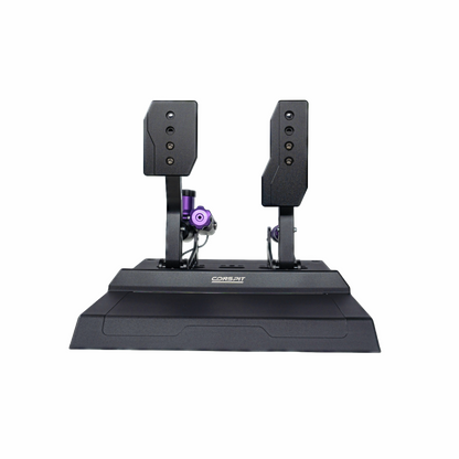 CONSPIT CPP-Lite 2-Pedal Version