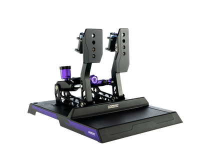 CONSPIT CPP-Lite 2-Pedal Version